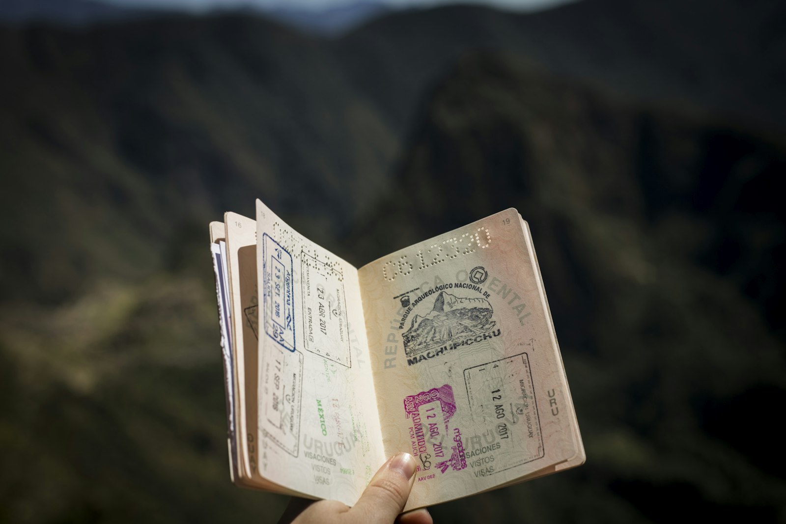 Passaporto con timbri di visto in mano, a richiamo dei nuovi residenti